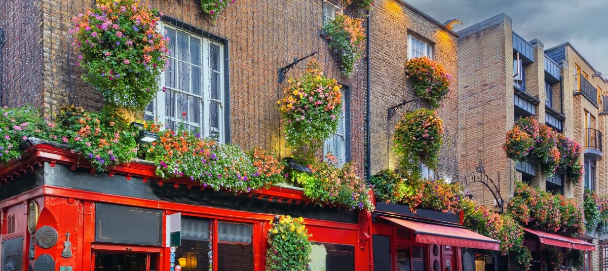 Row of colourful terraced houses in Dublin with flower boxes and a bright red door.