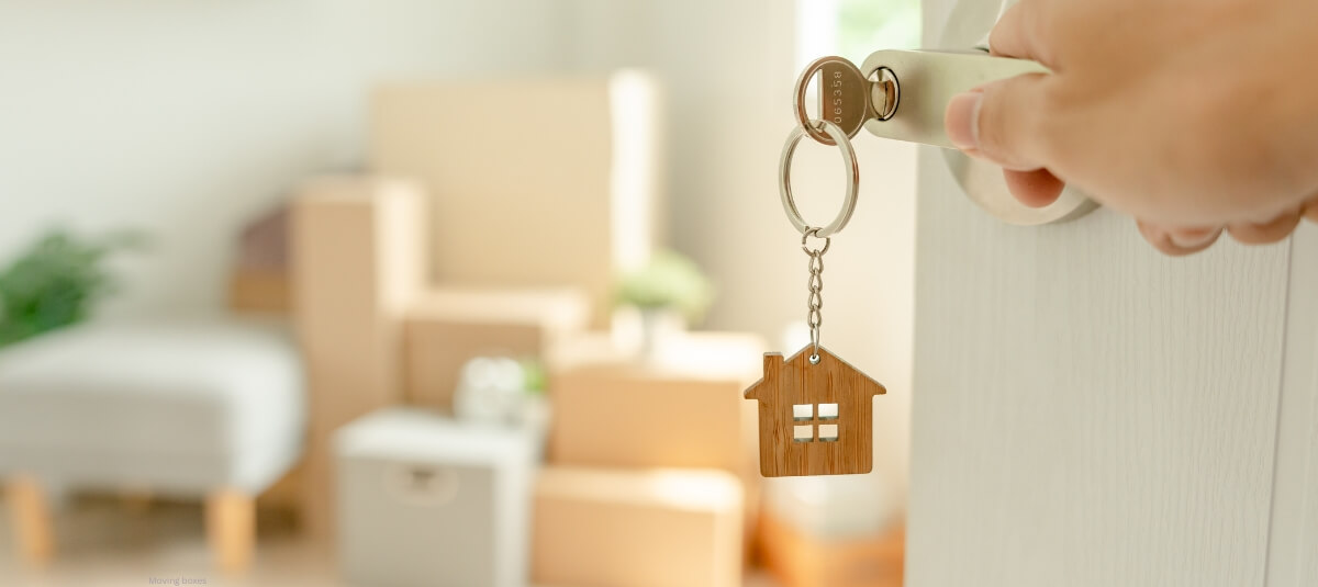 Professional movers packing boxes and handling household items during a managed removals service.