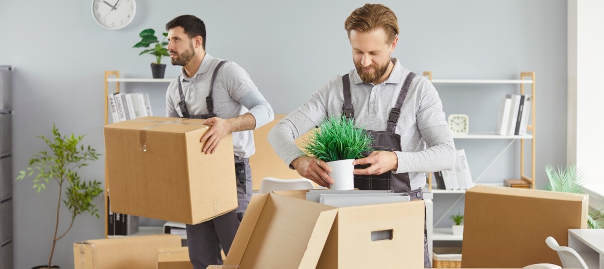 Professional movers packing boxes and handling household items during a managed removals service.